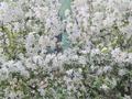 2-бөлмелі пәтер · 43.5 м² · 2/5 қабат, Затаевича 7, бағасы: 18 млн ₸ в Астане, Сарыарка р-н