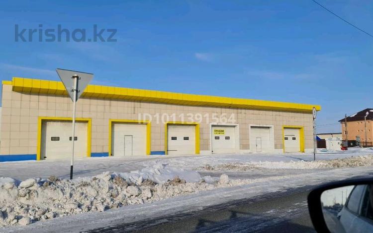 Свободное назначение, склады, азс, автосервисы и автомойки · 309 м² за 800 000 ₸ в Астане, р-н Байконур — фото 4