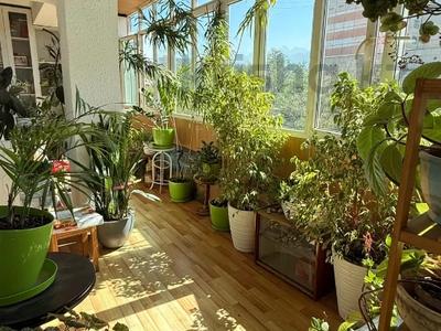 4-бөлмелі пәтер · 85 м² · 5/6 қабат, Бабаева — Розыбакиева, бағасы: 62.9 млн ₸ в Алматы, Бостандыкский р-н