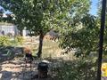 Дача · 2 комнаты · 54 м² · 6 сот., Актубек 31 за 25 млн ₸ в Шымкенте, Абайский р-н — фото 14
