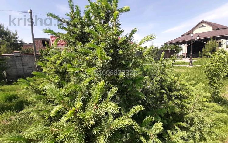 Отдельный дом · 7 комнат · 194 м² · 12.48 сот., Жолаева — Гидрокомплекс за 60 млн 〒 в Таразе — фото 6