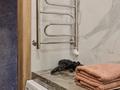 3-комнатная квартира · 75 м² · 3 этаж, Глинки 26/1 за 30 000 ₸ в Семее — фото 26