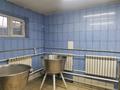 Отдельный дом · 4 комнаты · 130 м² · 10.9 сот., Окжетпес (Горная) за 31 млн ₸ в Щучинске — фото 10