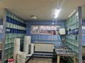 Отдельный дом · 4 комнаты · 130 м² · 10.9 сот., Окжетпес (Горная) за 31 млн ₸ в Щучинске — фото 13