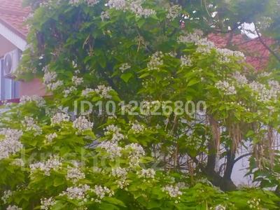 Жеке үй · 6 бөлме · 180 м² · 10 сот., мкр Карасу, Кастек батыра 45, бағасы: 90 млн ₸ в Алматы, Алатауский р-н
