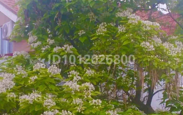 Жеке үй · 6 бөлме · 180 м² · 10 сот., мкр Карасу, Кастек батыра 45, бағасы: 90 млн ₸ в Алматы, Алатауский р-н — фото 2