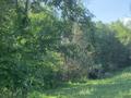 Жер телімі · 5.35 га, Қаскелең, бағасы: 30 млн ₸ в Каскелене — фото 2