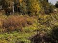 Дача · 2 комнаты · 40 м² · 5 сот., Светоч 78 за 4.5 млн ₸ в Усть-Каменогорске — фото 9