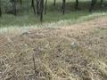 Участок · 1.48 га, Конаева 27,29 — Находится при въезде в город из Алматы за 288 млн ₸ — фото 3