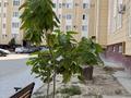 3-комнатная квартира · 82 м² · 1/5 этаж, 29а мкр 167 за 22.9 млн ₸ в Актау — фото 16