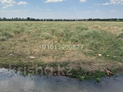 Участок · 3 га, Ушконыр за 36 млн ₸ в Шамалгане