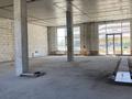 Еркін · 292 м², бағасы: 4.5 млн ₸ в Астане — фото 12