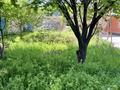 Отдельный дом · 3 комнаты · 100 м² · 6 сот., мкр Улжан-1 сулутобе7 — Сулутобе7 за 57 млн ₸ в Алматы, Алатауский р-н — фото 10