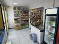 Продовольственный магазин «Магнат», 80 м² за 23 млн 〒 в Темиртау — фото 3