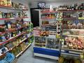 Продовольственный магазин «Магнат», 80 м² за 23 млн 〒 в Темиртау — фото 5