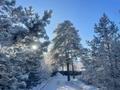 Жеке үй · 5 бөлме · 200 м², Абая 26в, бағасы: 70 000 ₸ в Бурабае — фото 8