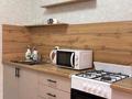 1-комнатная квартира · 43 м² · 1 этаж, Микрорайон Береке 57 за 12 000 ₸ в Костанае — фото 3