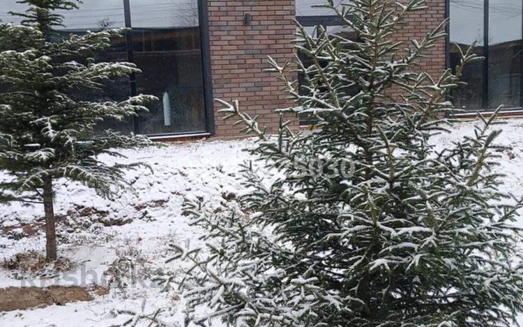 Отдельный дом · 5 комнат · 225 м² · 10 сот., Рейша 11/6 — Сатпаева за 200 млн 〒 в Усть-Каменогорске — фото 2