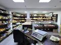 Магазины и бутики · 73.7 м² за 80 млн ₸ в Семее — фото 11