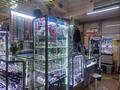 Магазины и бутики, кабинеты и рабочие места · 12 м² за 100 000 ₸ в Алматы, Медеуский р-н — фото 7