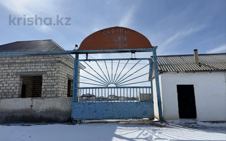 Промбаза · 1.27 га, Примов 1 за 48 млн ₸ в Казалинске — фото 2