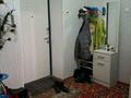 2-комнатная квартира · 65 м² · 3/5 этаж, Сулейменова 18а — Койкелди Сулеменова за 25 млн ₸ в Таразе — фото 3