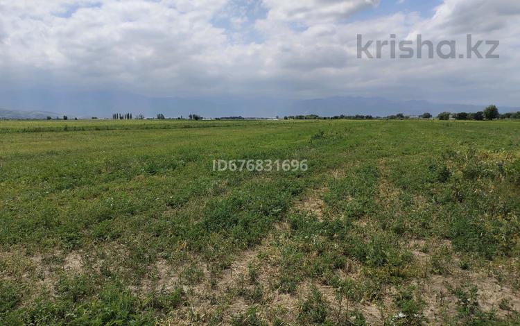 Участок · 3.9 га, Байтерек (Новоалексеевка) за 100 млн 〒 — фото 2