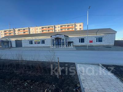 Еркін · 600 м², бағасы: 1.8 млн ₸ в Хромтау