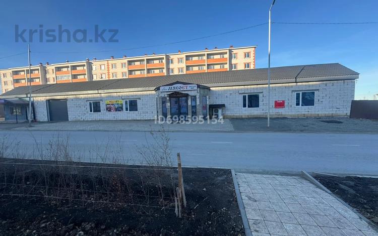 Еркін · 600 м², бағасы: 1.8 млн ₸ в Хромтау — фото 9