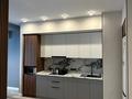 1-бөлмелі пәтер · 54 м² · 7/25 қабат, Байдибек би стр. 127/7, бағасы: 250 000 ₸ в Шымкенте, Абайский р-н — фото 4