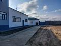 Образование · 588 м² за 105 млн ₸ в Туркестане — фото 18