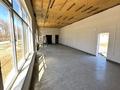 Магазины и бутики · 178 м² за 25 млн ₸ в Талдыкоргане, мкр Жастар — фото 9