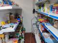 Дүкендер мен бутиктер · 30 м², бағасы: 100 000 ₸ в Алматы, Наурызбайский р-н — фото 3