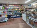 Дүкендер мен бутиктер · 30 м², бағасы: 100 000 ₸ в Алматы, Наурызбайский р-н — фото 4
