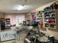 Свободное назначение · 132 м² за 60 млн ₸ в Темиртау — фото 10