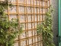 ГОТОВЫЙ БИЗНЕС · 150 м² за 15 млн ₸ в Астане, Есильский р-н — фото 10