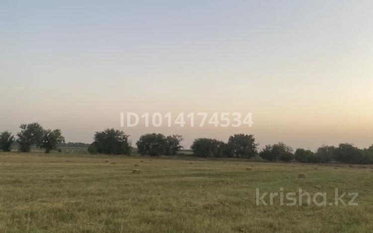 Свободное назначение · 5 м² за 20 млн ₸ в Ынтымак — фото 2