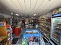 Отдельный дом · 4 комнаты · 500 м² · 8 сот., мкр Калкаман-2, Лапина 143 — Абая Яссауи за 108 млн ₸ в Алматы, Наурызбайский р-н — фото 2