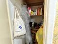 2-бөлмелі пәтер · 50.7 м² · 2/5 қабат, Саина 32а, бағасы: 13.5 млн ₸ в Кокшетау — фото 12