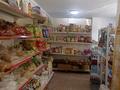 Магазины и бутики • 100 м² за 37 млн 〒 в Талгаре — фото 15