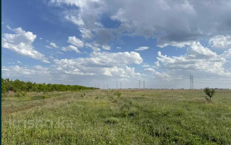 Жер телімі · 3 га, Қосшы, бағасы: 460 млн ₸ в Косшы — фото 3