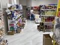 Магазины и бутики · 250 м² за 500 000 ₸ в Актау — фото 4