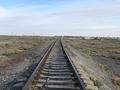 Участок · 50 соток, Тимур — Жд станция Тимур за 15 млн ₸ в Шаульдер — фото 2