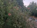 Жеке үй · 3 бөлме · 46.8 м² · 4 жүзд., Торекулова, бағасы: 26 млн ₸ в Шымкенте, Аль-Фарабийский р-н — фото 3
