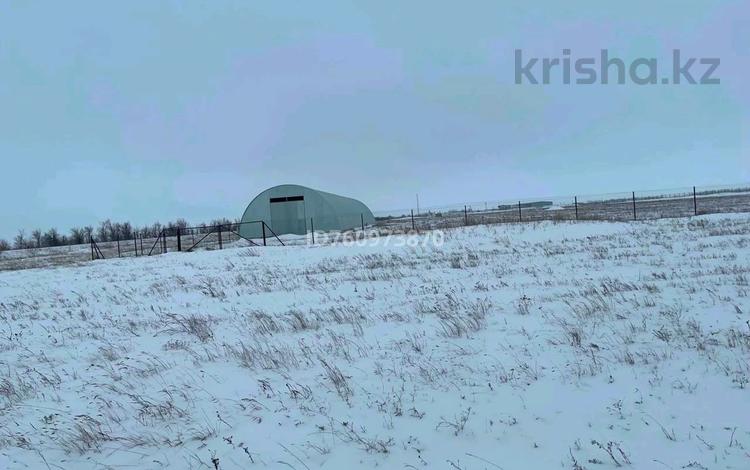 Өнеркәсіптік база · 2.5 га, Промбаза Месторождения Тунгуш — Промбаза ( Тунгуш), бағасы: 100 млн ₸ в Аксае — фото 2