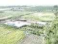 Отдельный дом · 2 комнаты · 60 м² · 970 сот., Балтабай 1 за 155 млн ₸ — фото 12