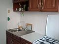 3-комнатная квартира · 55 м² · 5/5 этаж, 1 микрорайон — Проспект Сатпаева за 18 млн ₸ в Семее, Красный Кордон — фото 14