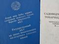 Дача · 3 комнаты · 20 м² · 8 сот., Мичурина 26 — Кургальджинская трасса за 30 млн 〒 в Астане, Есильский р-н