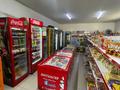 Магазин+ жер 10 соттық + здание · 12.7 м², бағасы: 100 млн ₸ в Шымкенте, Абайский р-н — фото 5