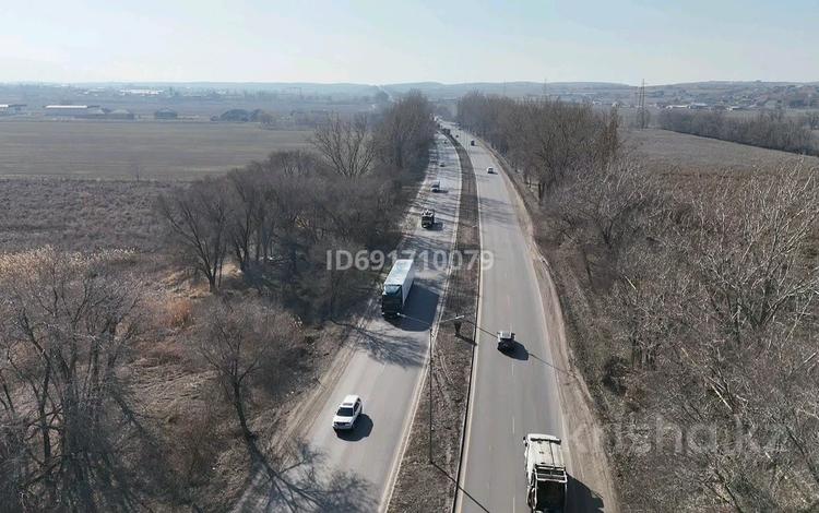 Участок · 25 соток, Ташкентская за 80 млн ₸ в Каскелене — фото 13